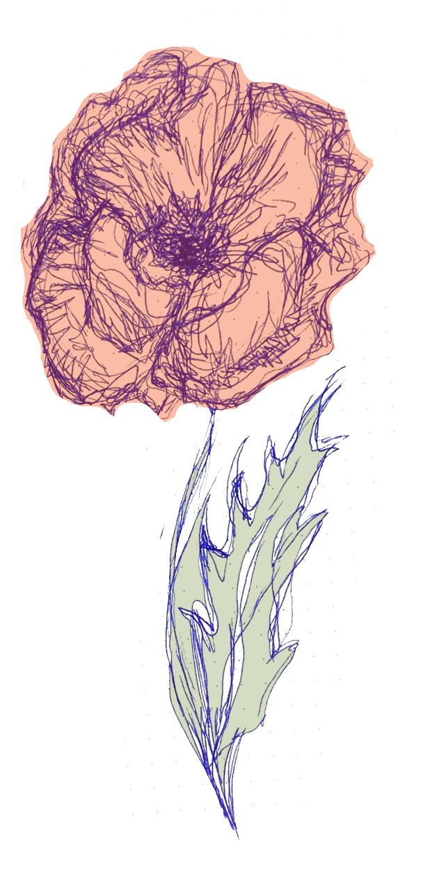 Poppy Drawing Honoring 'C'